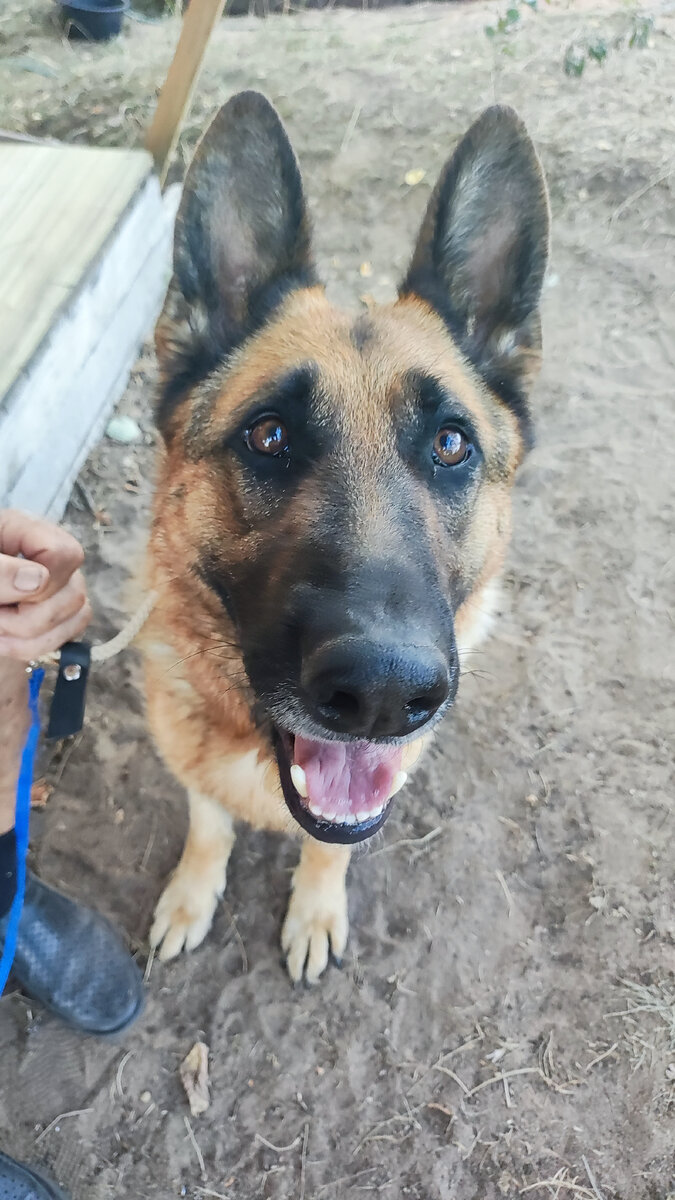 Очаровательная Марта