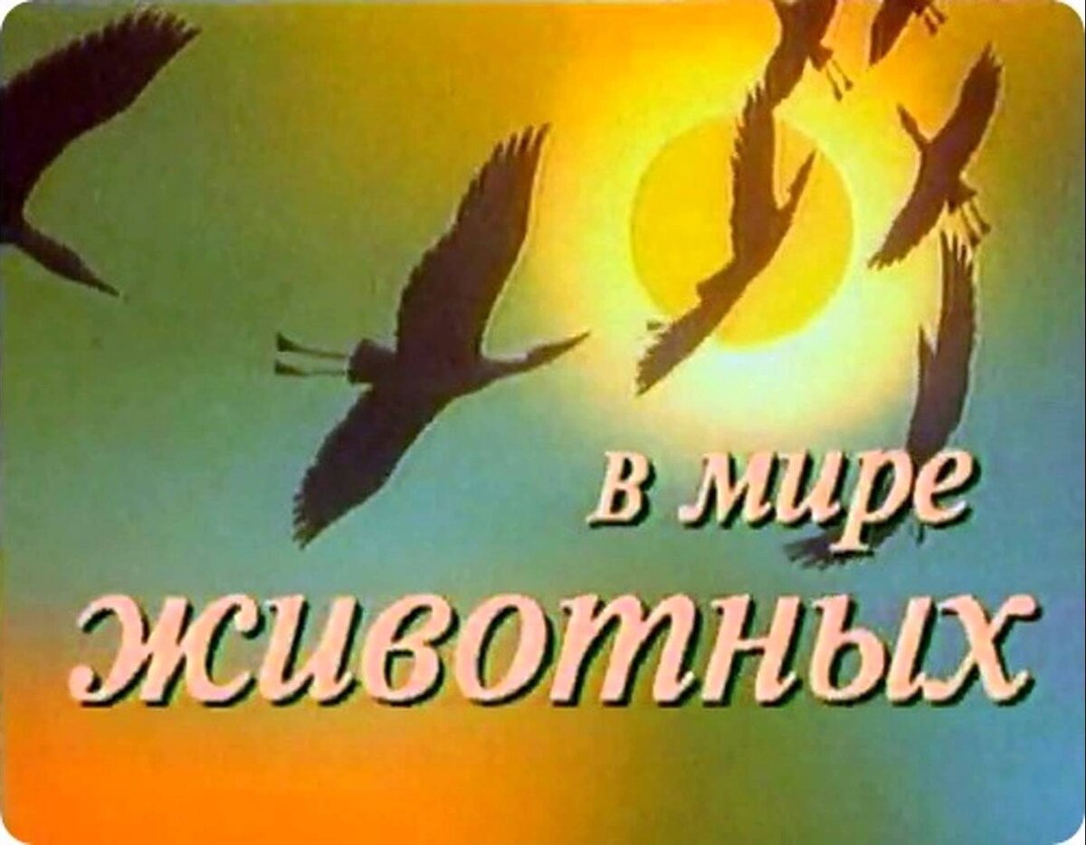 Продолжаю рубрику "В мире пьяных животных"🐵🐹🦇. Мало кто знает, что не брезгуют алкоголем собаки, обезьяны, птицы: свиристели, голуби, воробьи, а также еноты, летучие мыши и даже слоны.-1-2