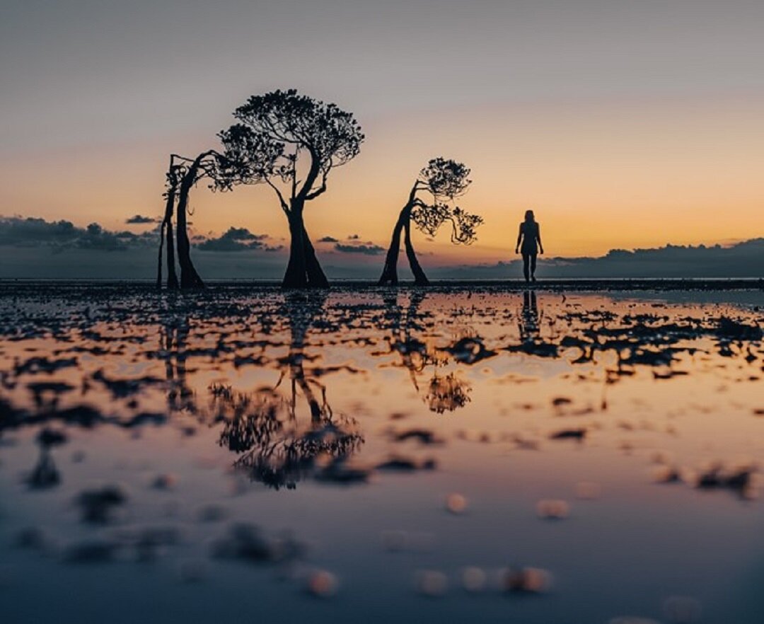 Источник: https://unsplash.com/  