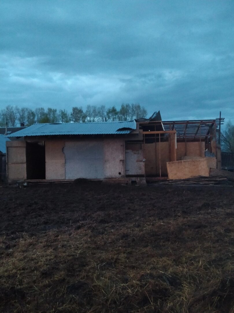 Что осталось от конюшни. Уцелевшие балки под крышей тоже начало выворачивать, но крыша осталась.