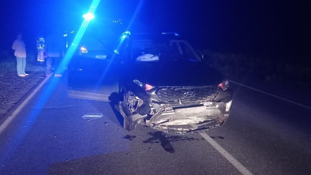     Стадо кабанов попало сегодня ночью под колеса автомобиля Hyundai на 17-м километре трассы Ярково — Ялуторовск.