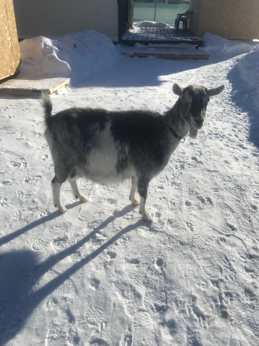 Самый желанный подарок 😊