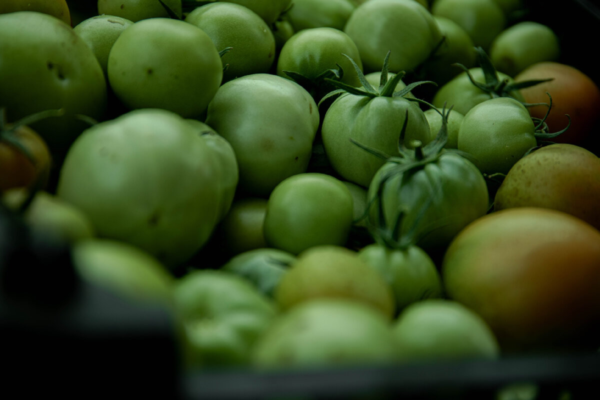 Зеленые помидоры - закуски и заготовки на зиму. Топ-7 рецептов