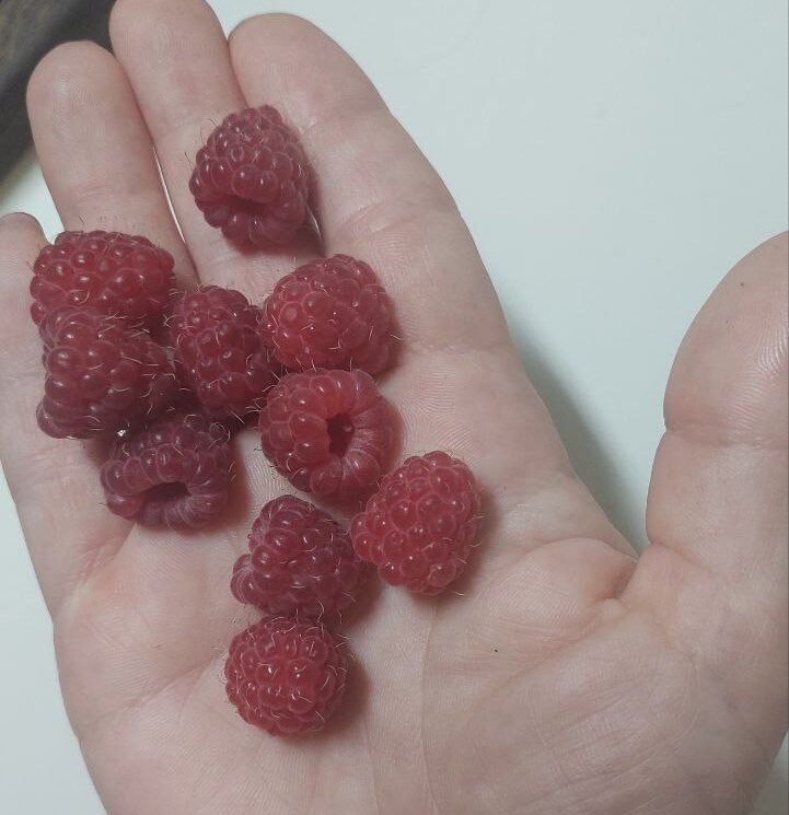 Фото из архива автора