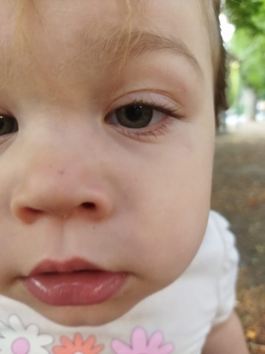 Оладий нет, а семки есть?🤨😂