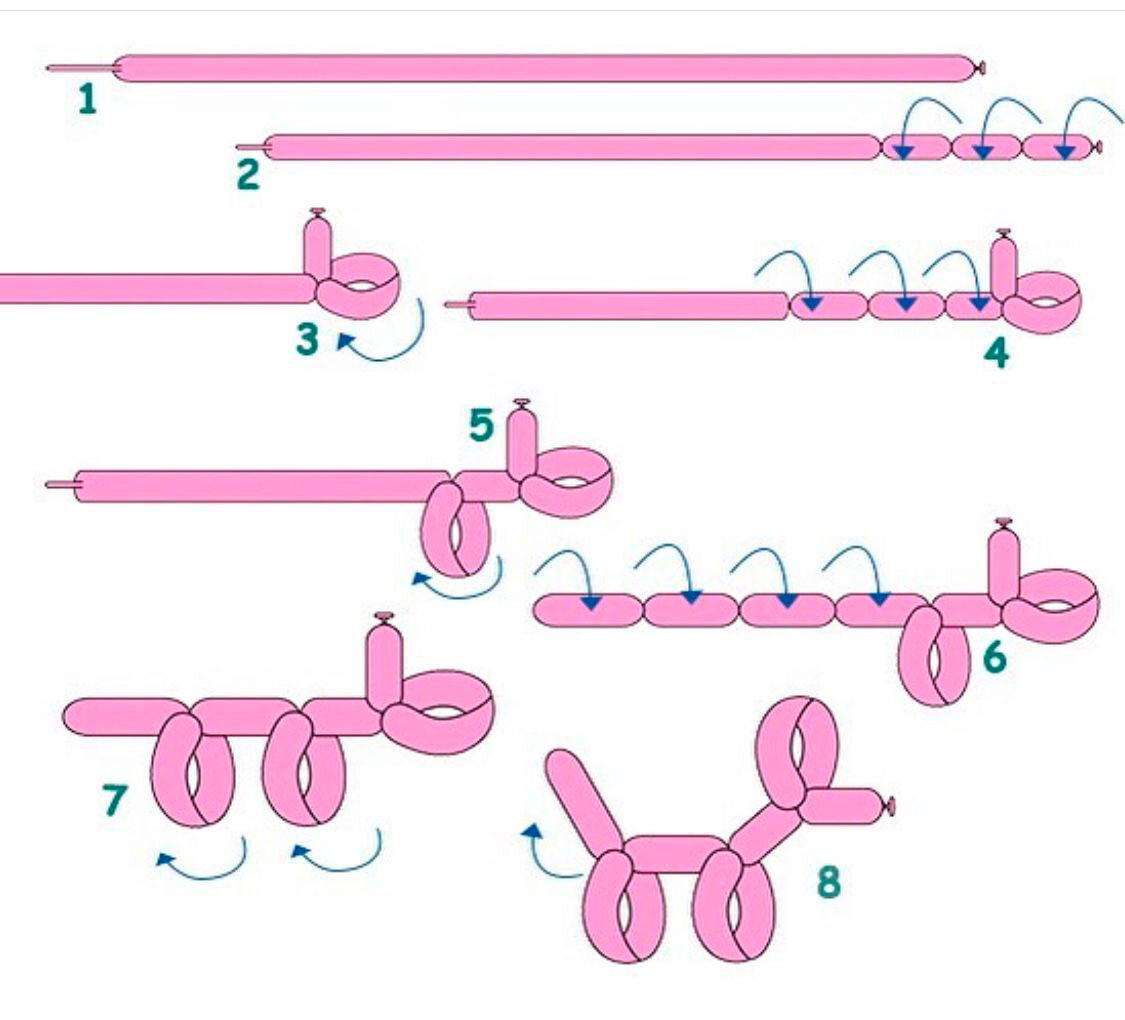 Воздушные шары инструкции. Собачка из шарика колбаски схема. Собака из шарика колбаски схема для начинающих пошагово. Собака из шарика колбаски схема. Собачка из шарика колбаски пошагово.