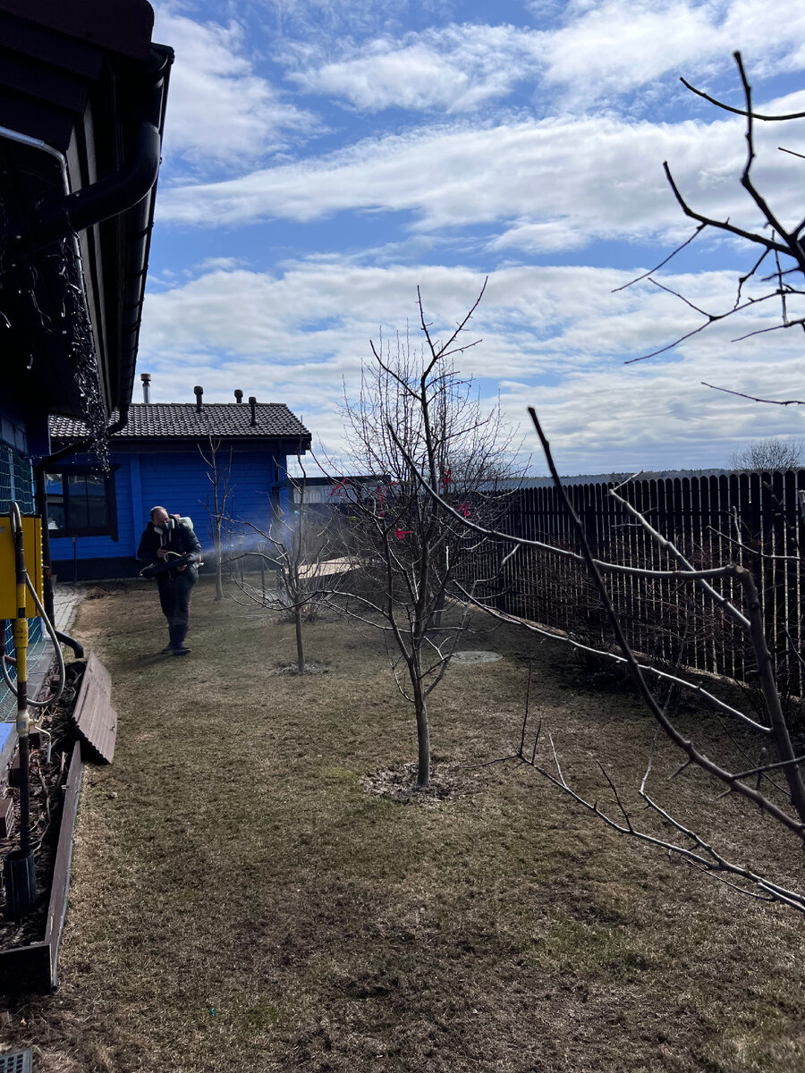 Ранневесенние обработки медьсодержащими препаратами 