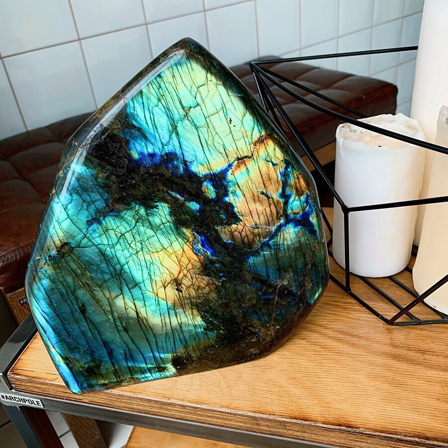 Срез лабрадора Samotsvet.ru