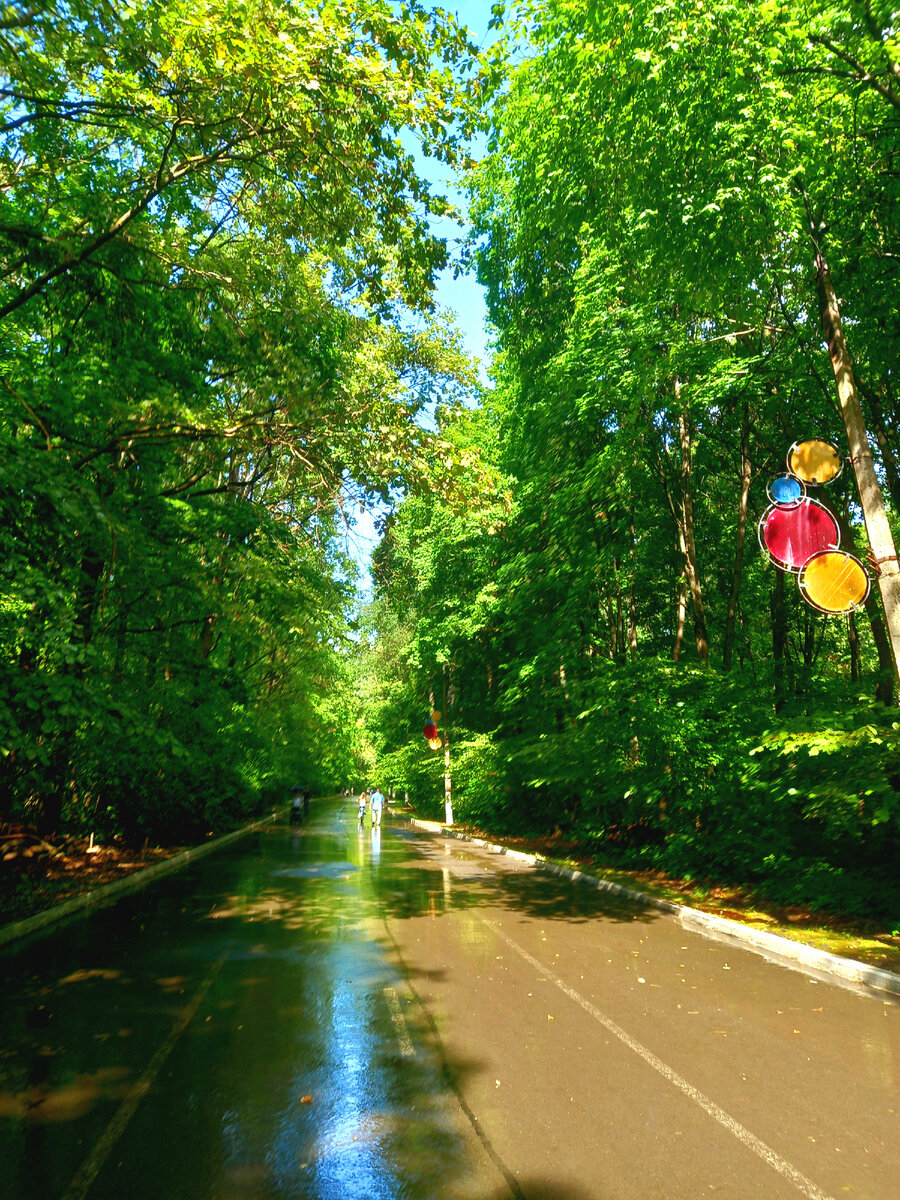 Вот какое наше лето!