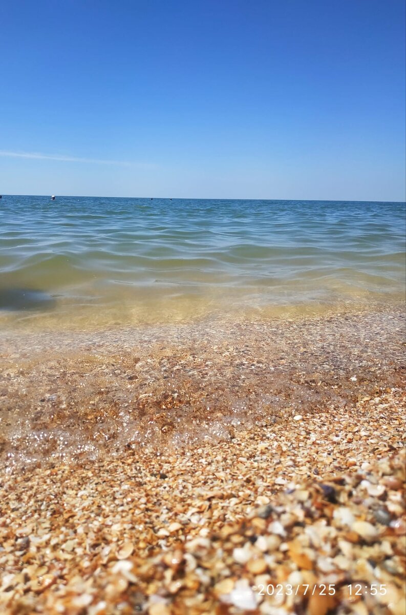 Азовское море сегодня 