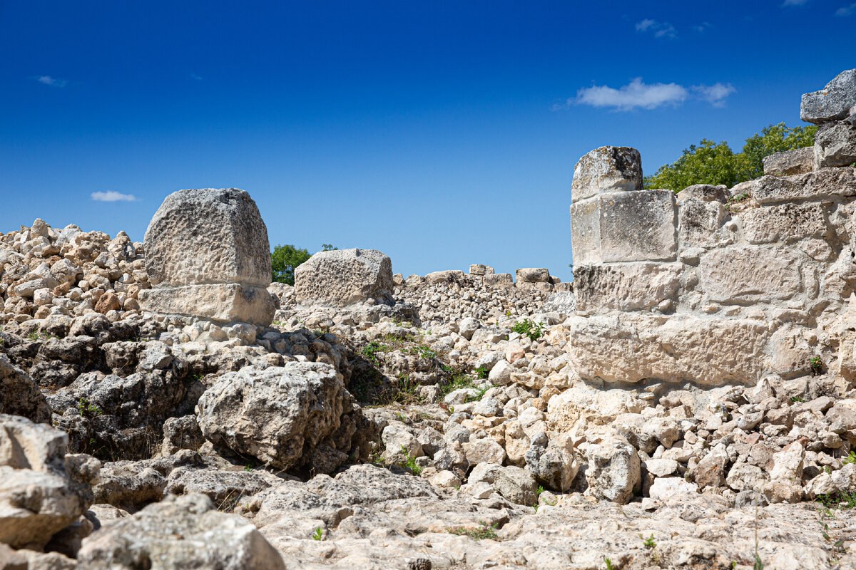 Фото: Пресс-служба Крымского федерального университета