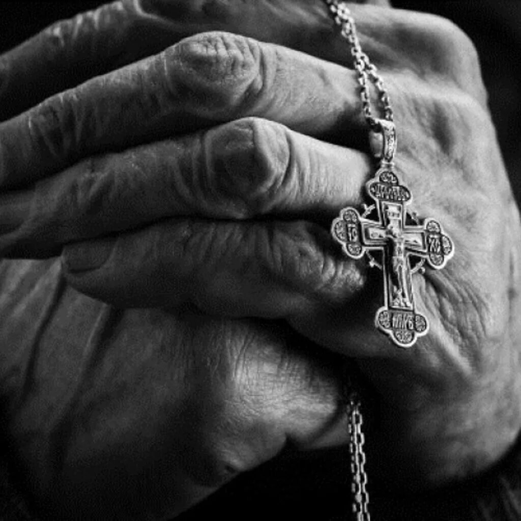 Изображение взято из открытых источников интернета. 