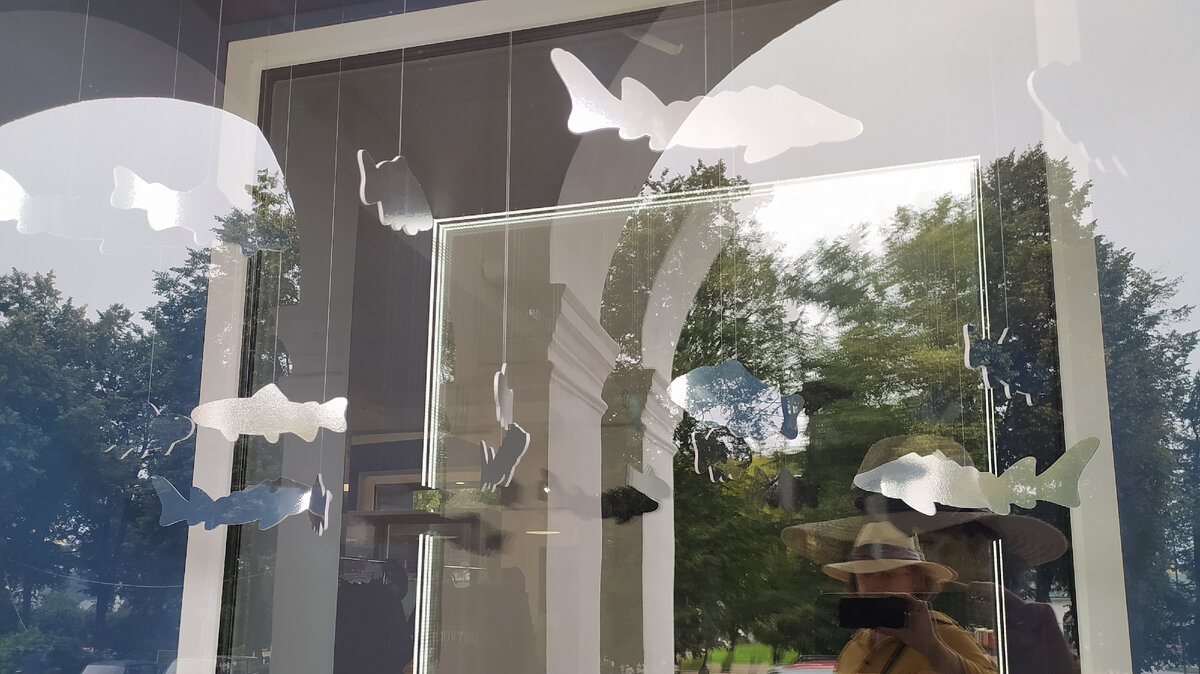 В витрине судаки, осетры и я