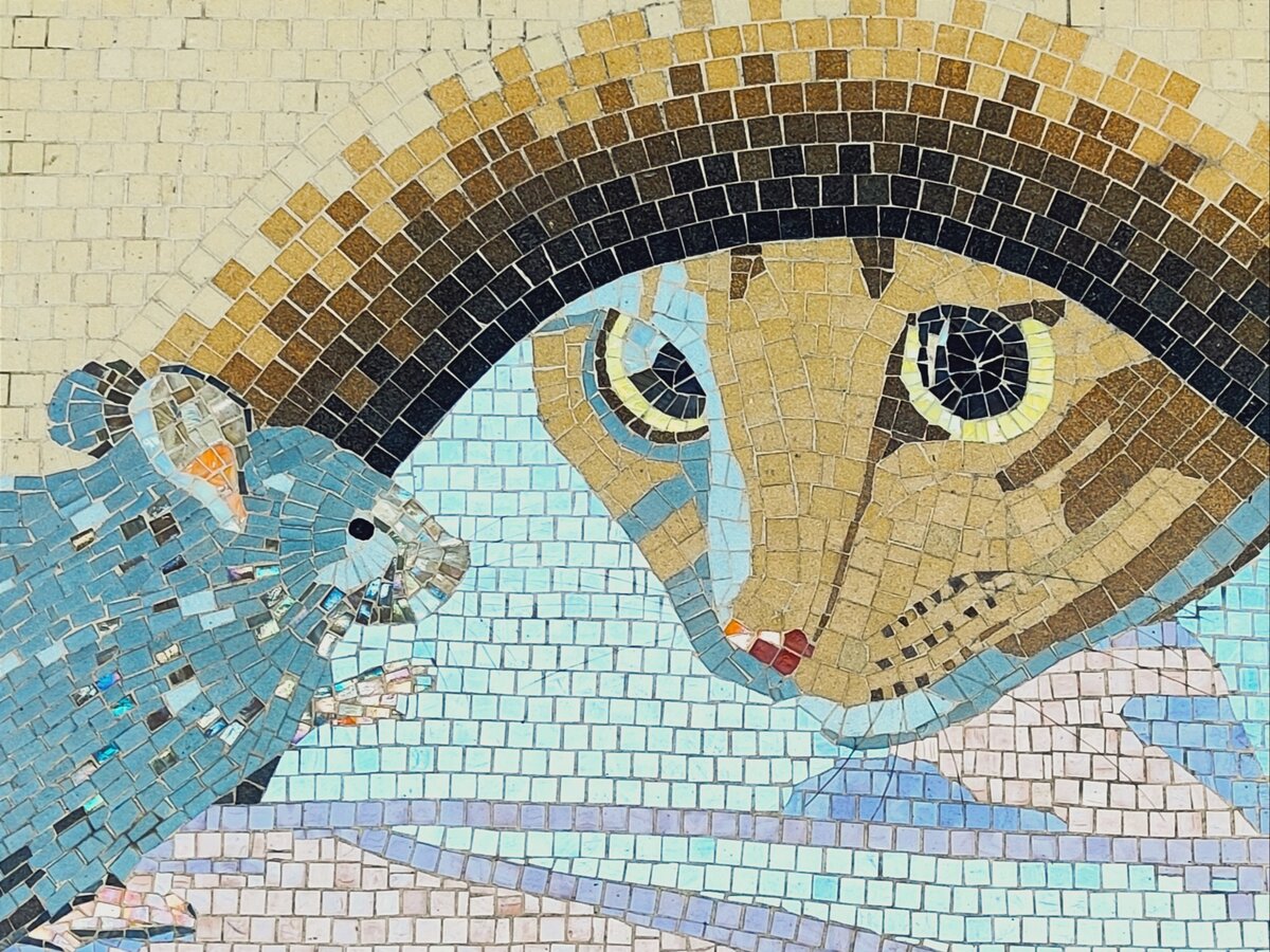 Все фото автора статьи. 