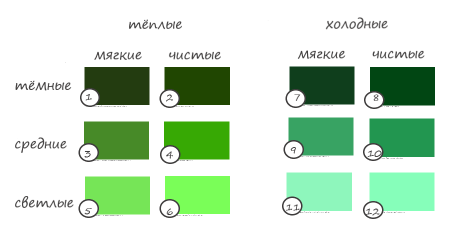 Оттенки зелёного цвета