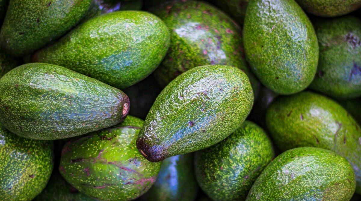 Авокадо