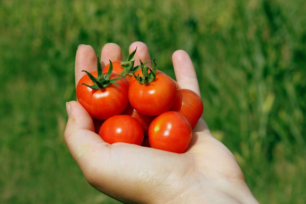 А мне вот интересно кого на какие продукты тянуло во время беременности????