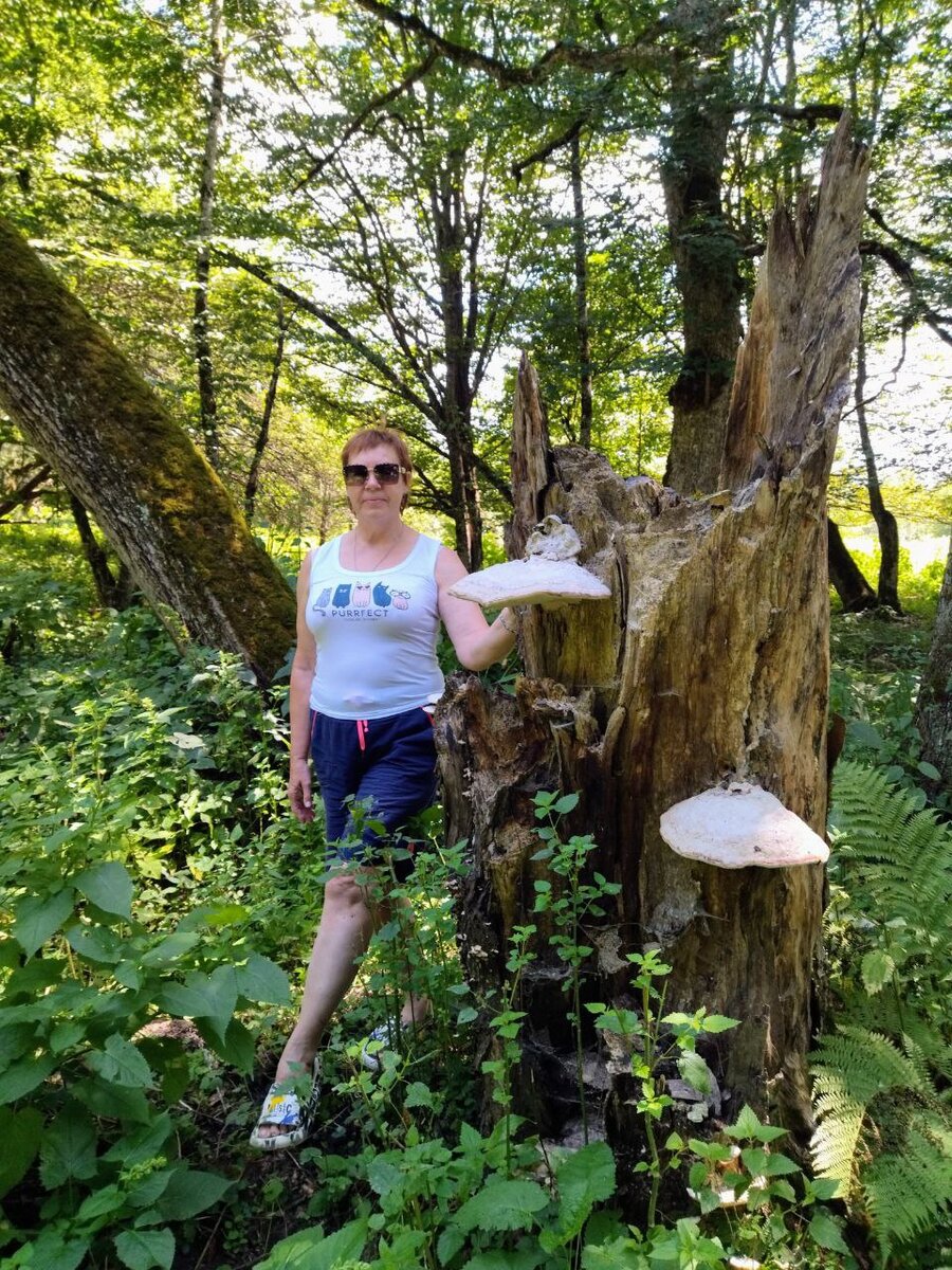 Фото автора из последней прогулки по лесу.