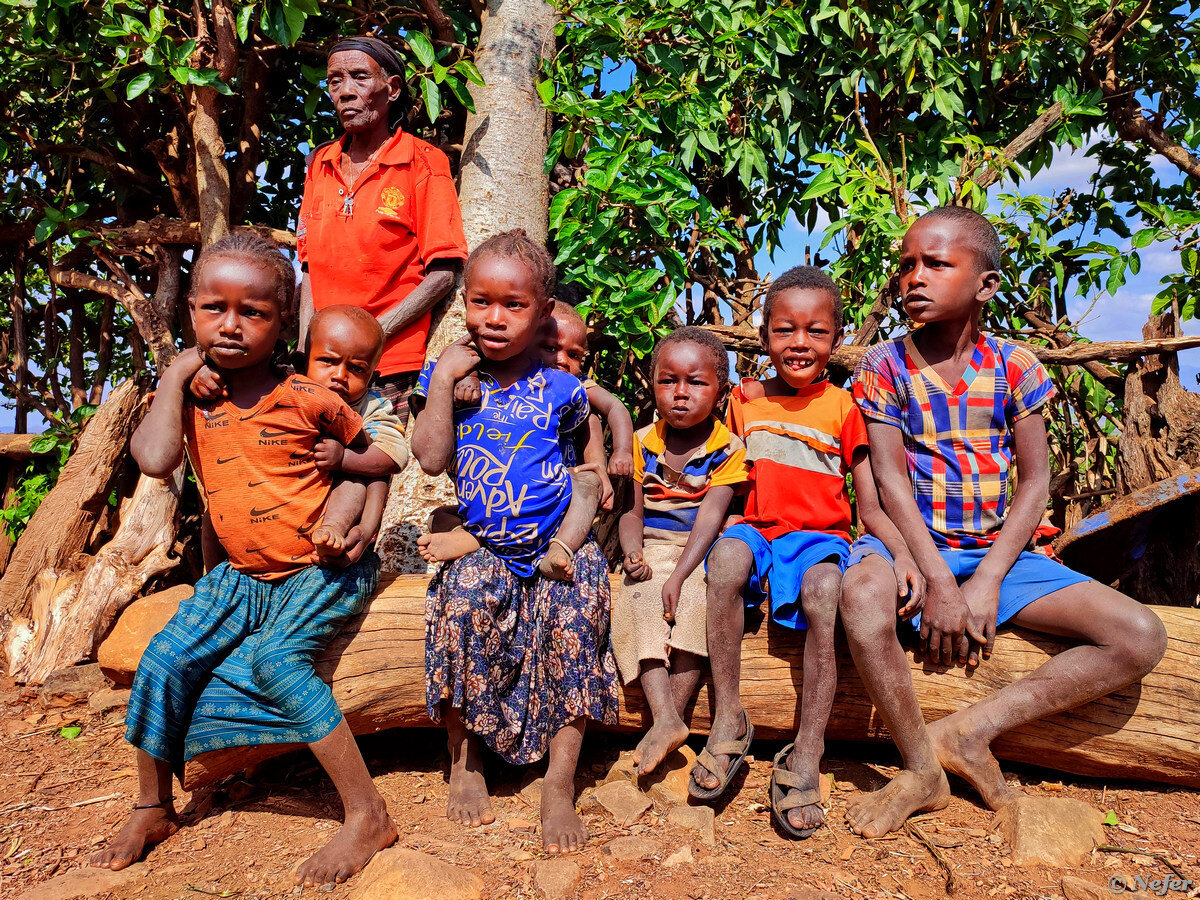 африка люди. народы эфиопии. племя афар. амхара эфиопия. народность амхара эфиопия.