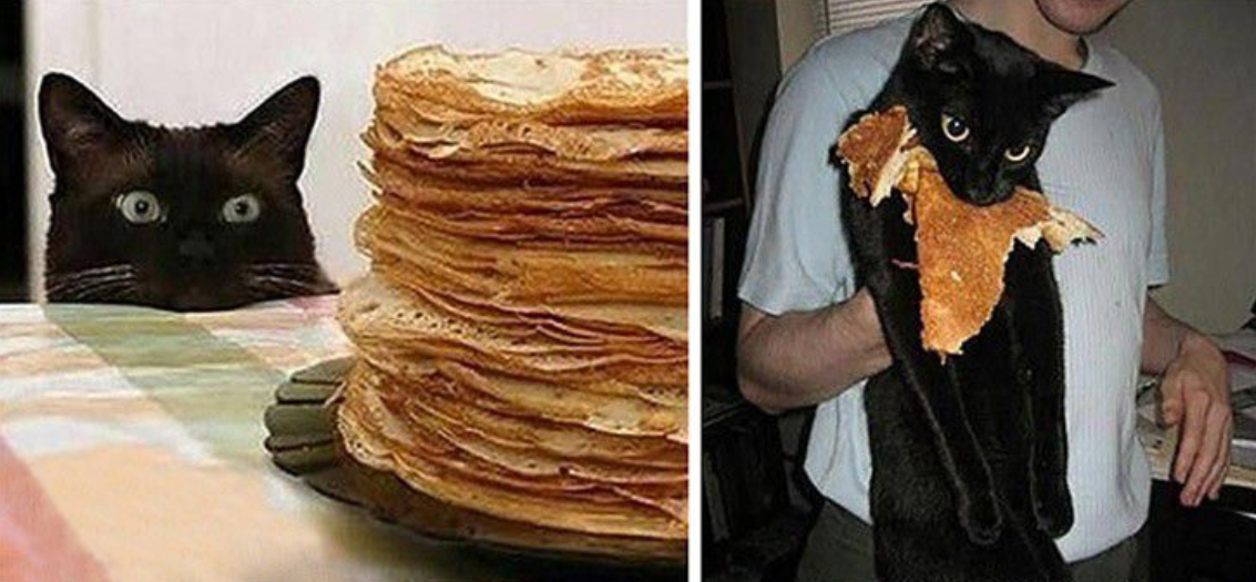 Котик с блинчиками
