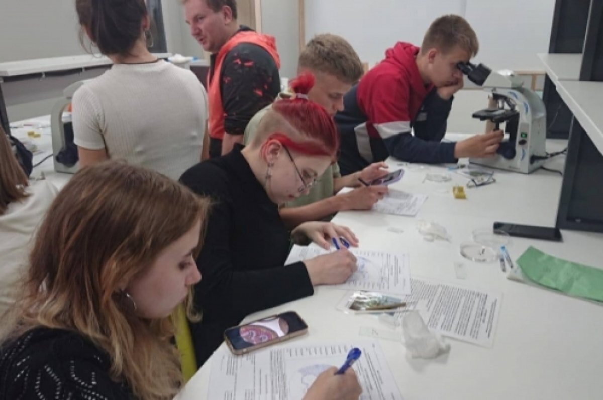    Минобр Камчатки проверяет информацию об истязании ребенка в лагере