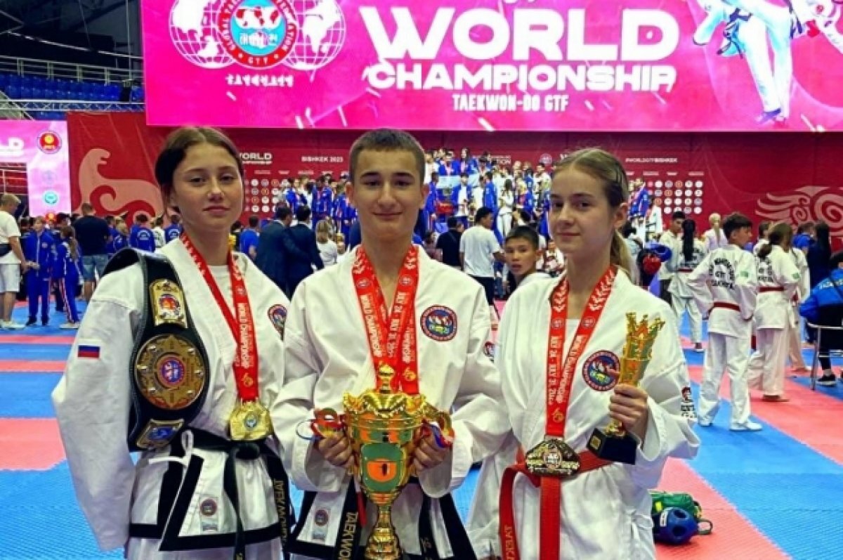 Чемпионат по тхэквондо 2001 год