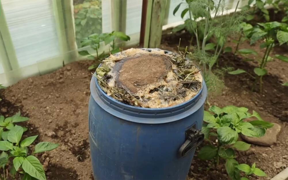 Фото: Петр Ломонос