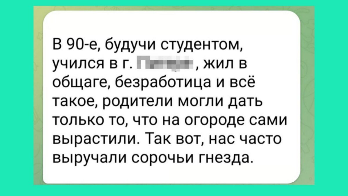 Скриншот из чата 1 