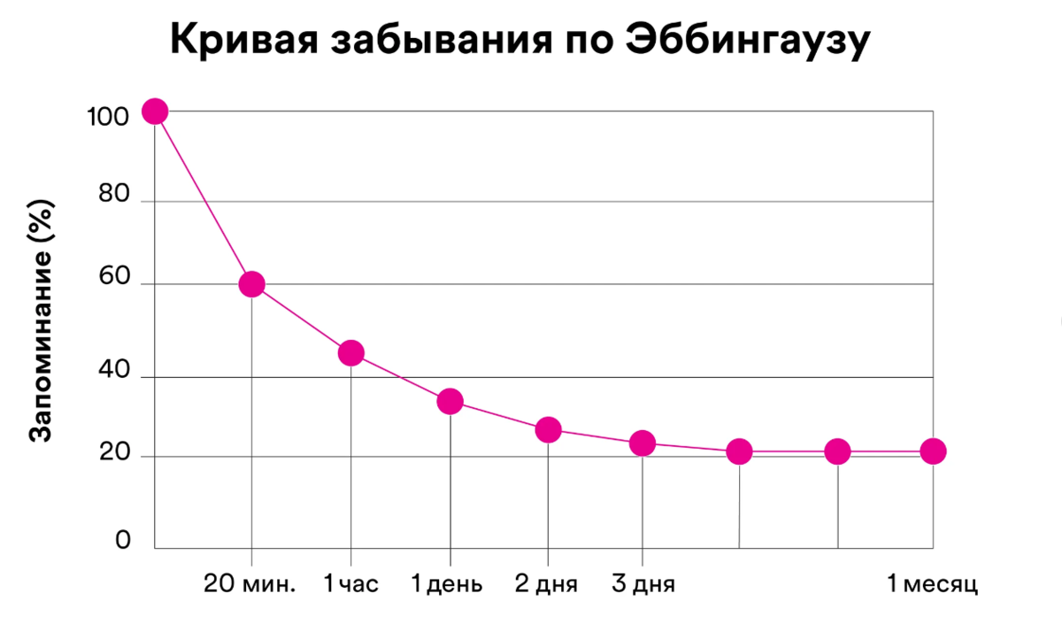 12 языков за год и бесплатно - это реально? Делюсь честным опытом |  Дневники полиглотки | Дзен