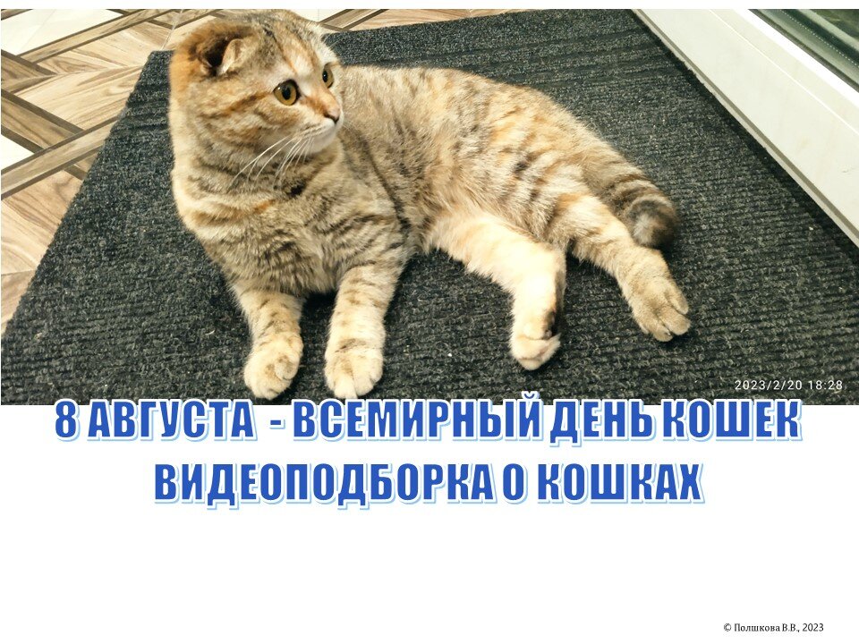 Картошка, © Полшкова В.В., 2023 