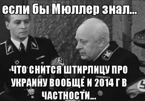 картинка фяндекс