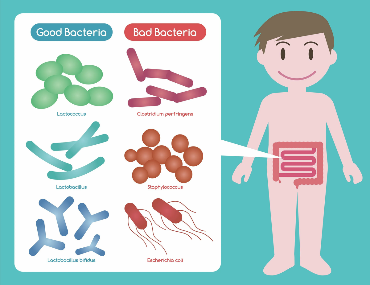 Бифидобактерии картинки для детей