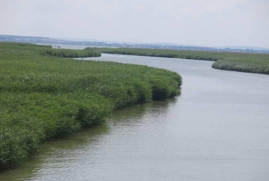 Фото Минприроды Краснодарского края