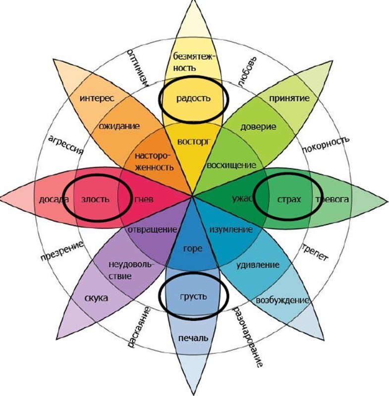 тут я изучаю спектр всех эмоций