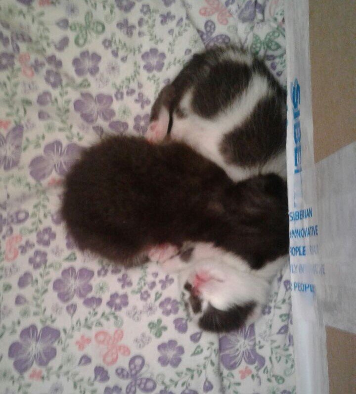 Жмёмся мы друг к дружке, чтоб теплее стало.