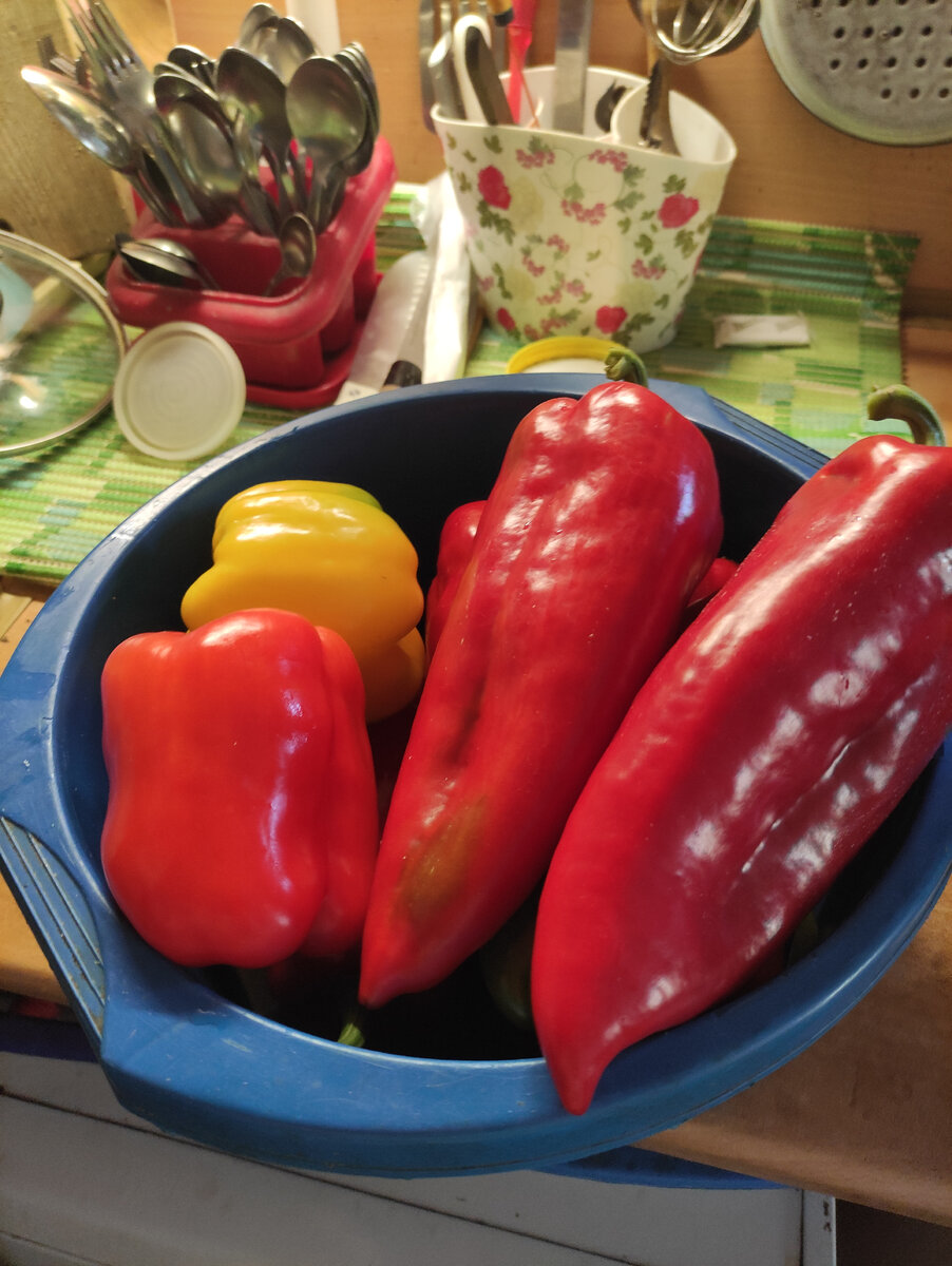 Все ингредиенты выращены нами) 