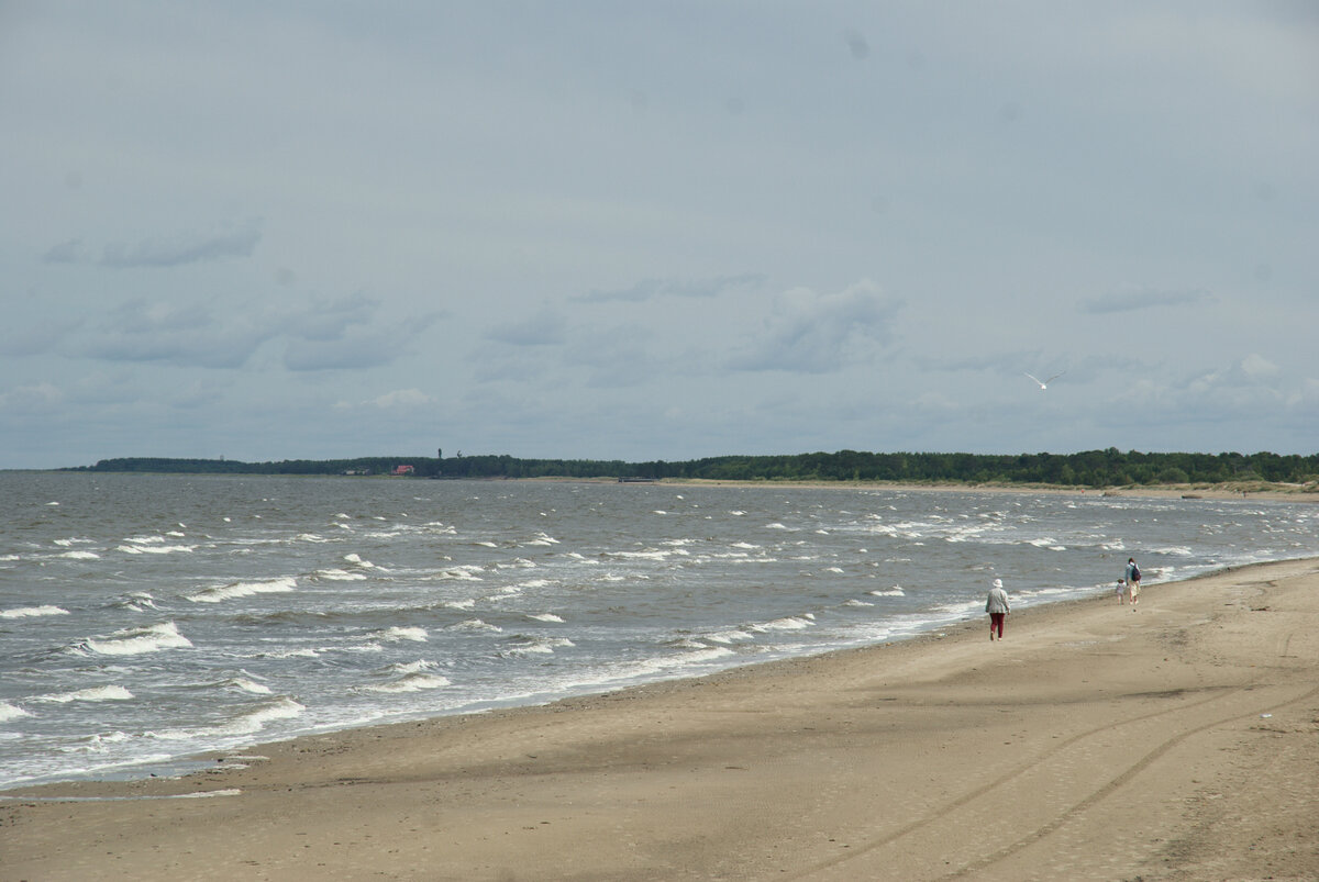 Пляж Северодвинска. Фото автора.