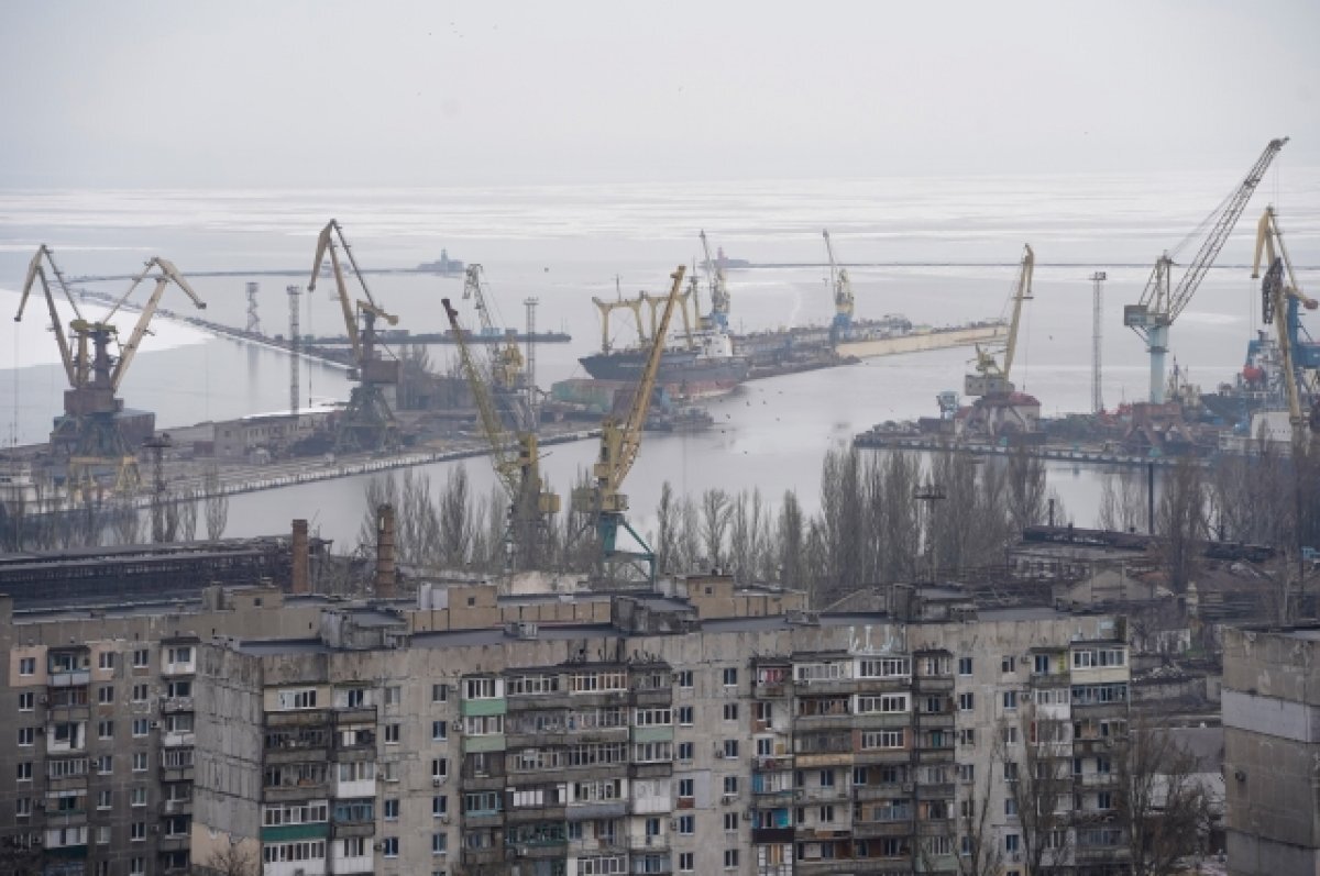    Портовые краны в морском торговом порту Мариуполя.
