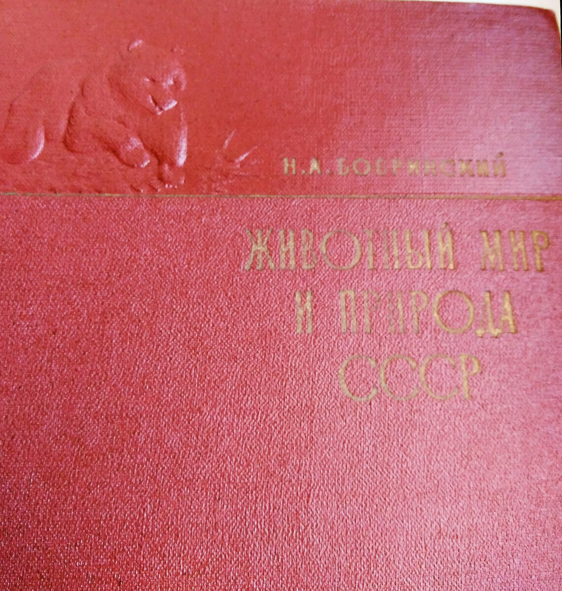 Николай Алексеевич Бобринский, Животный мир и природа СССР