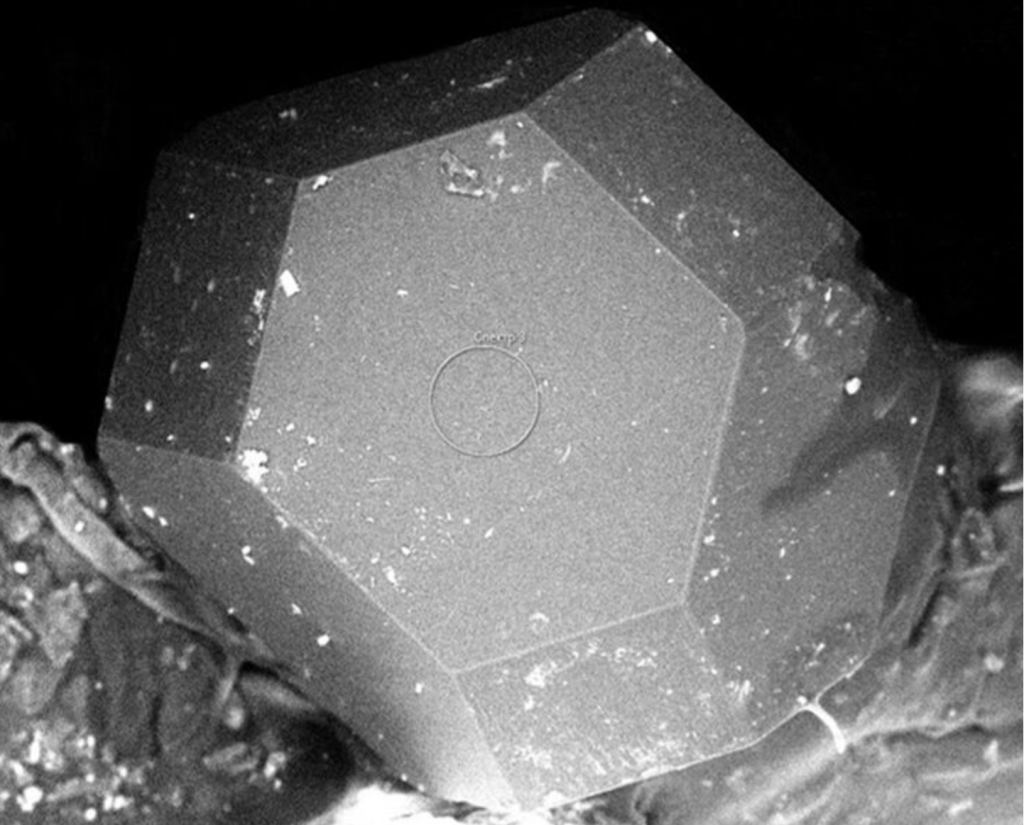 Фото: Газета.Ру