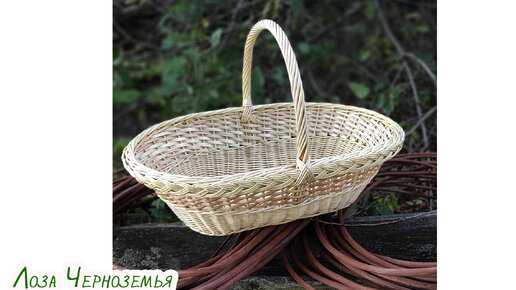 Плетение корзин из ивы для начинающих: чудо-растение в помощь интерьеру