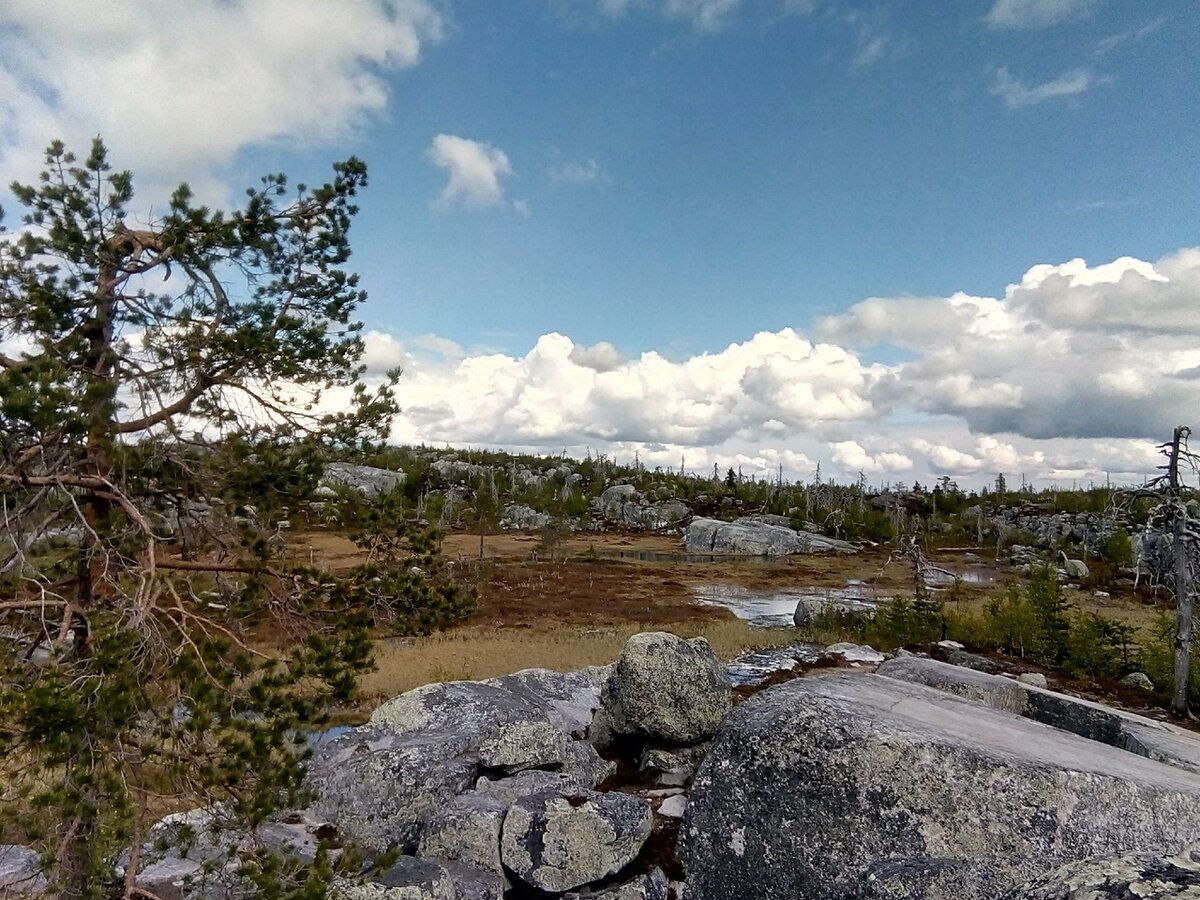 Горные озёра - привычное дело. А вот горные болота...