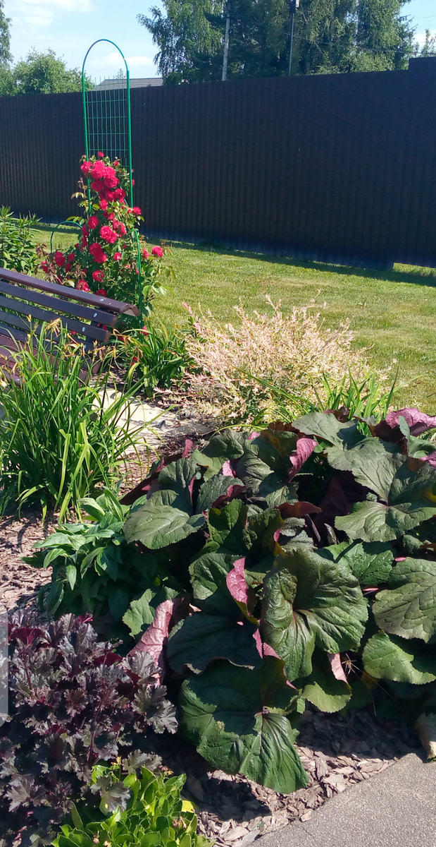 Красота возле нашего магазина