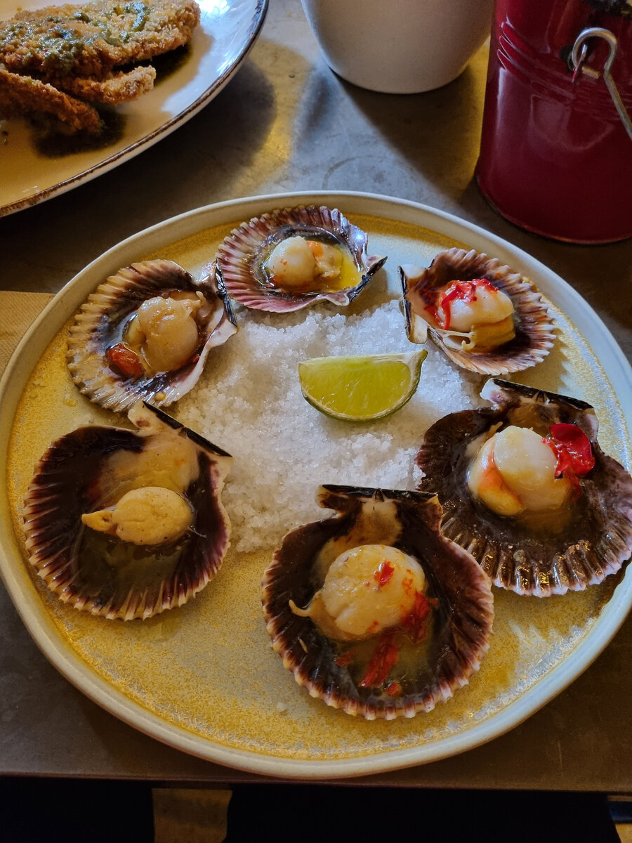 (Фото автора. Вот они, виновники моих трат.)