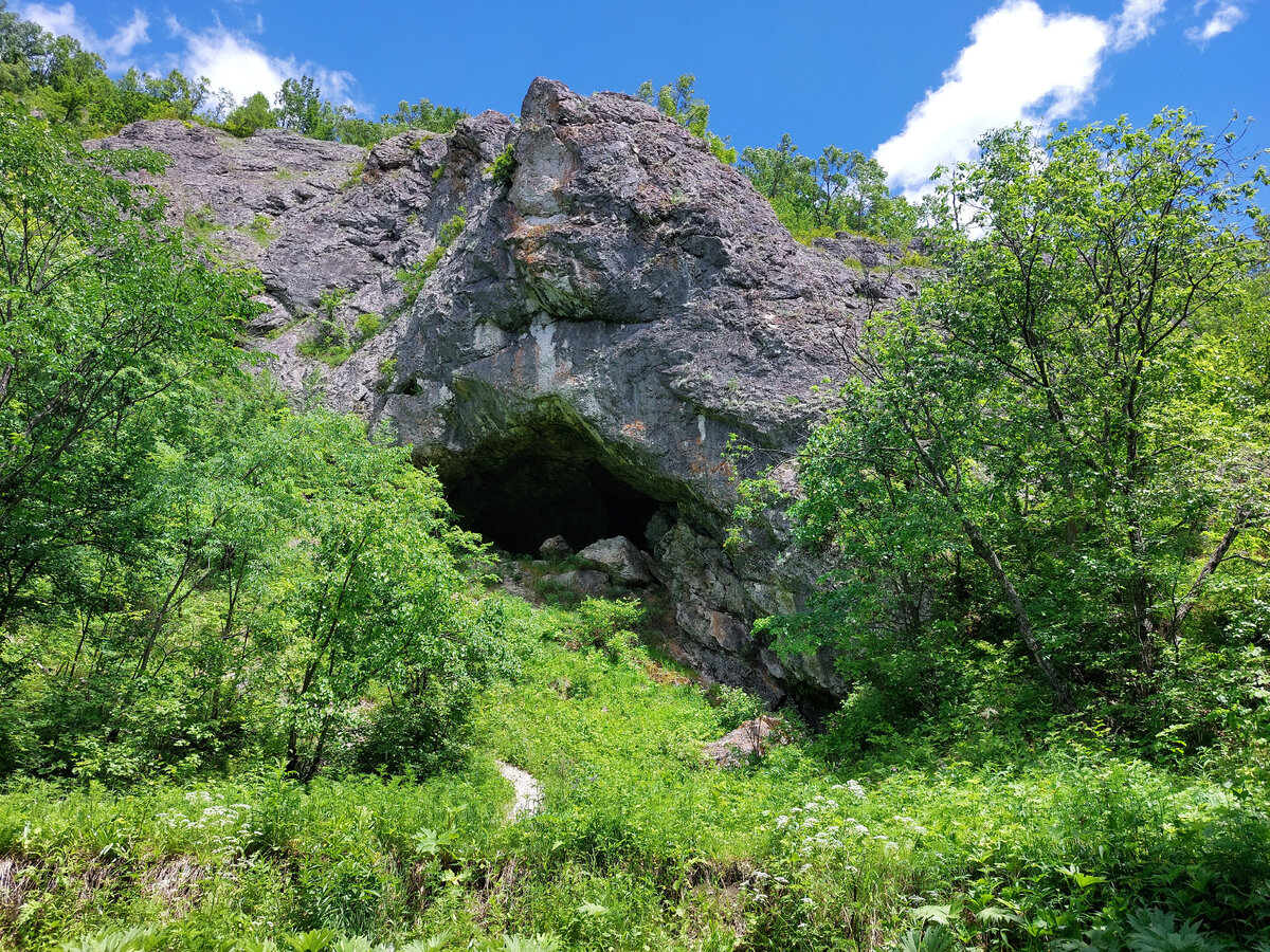 В дальнегорске на 3 дня