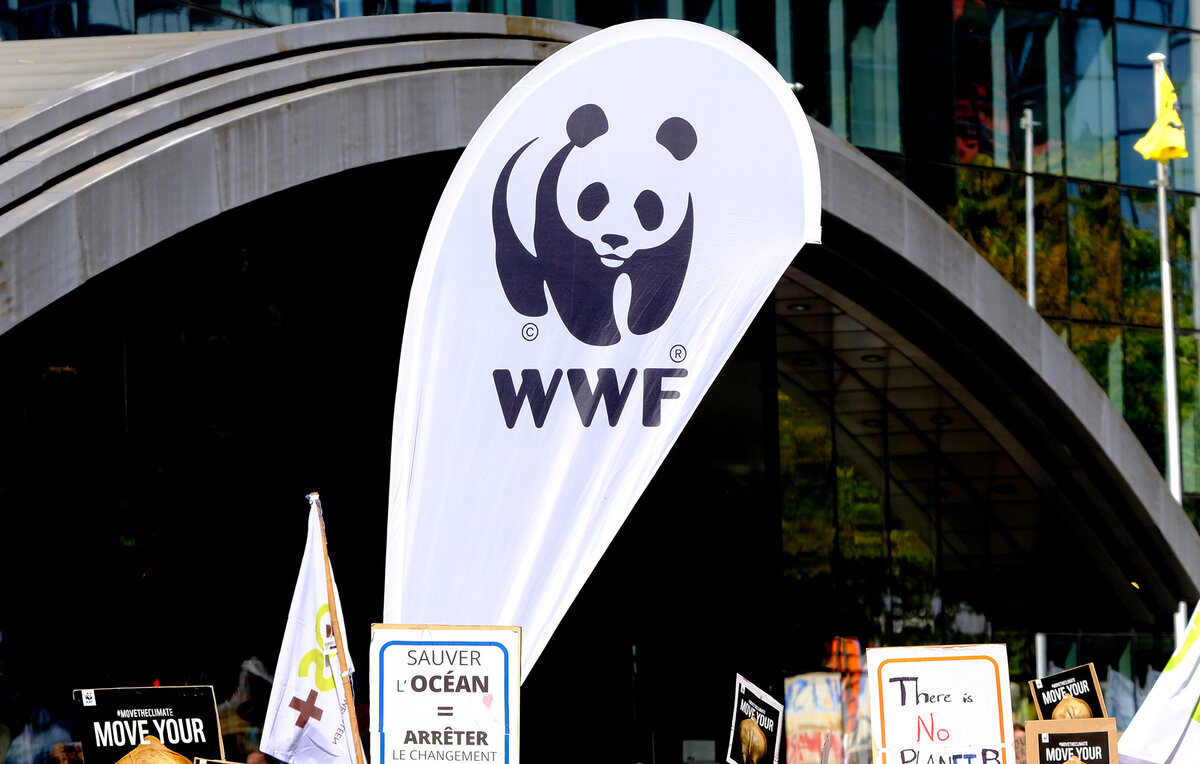 Wwf проекты в россии