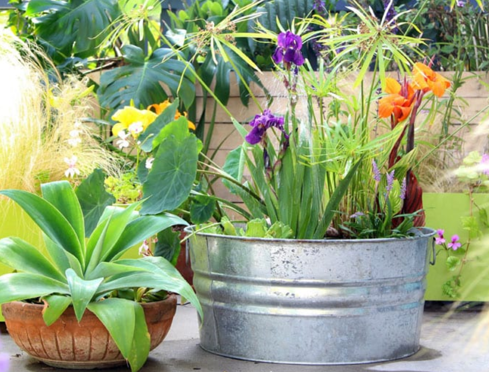 идея для паттио