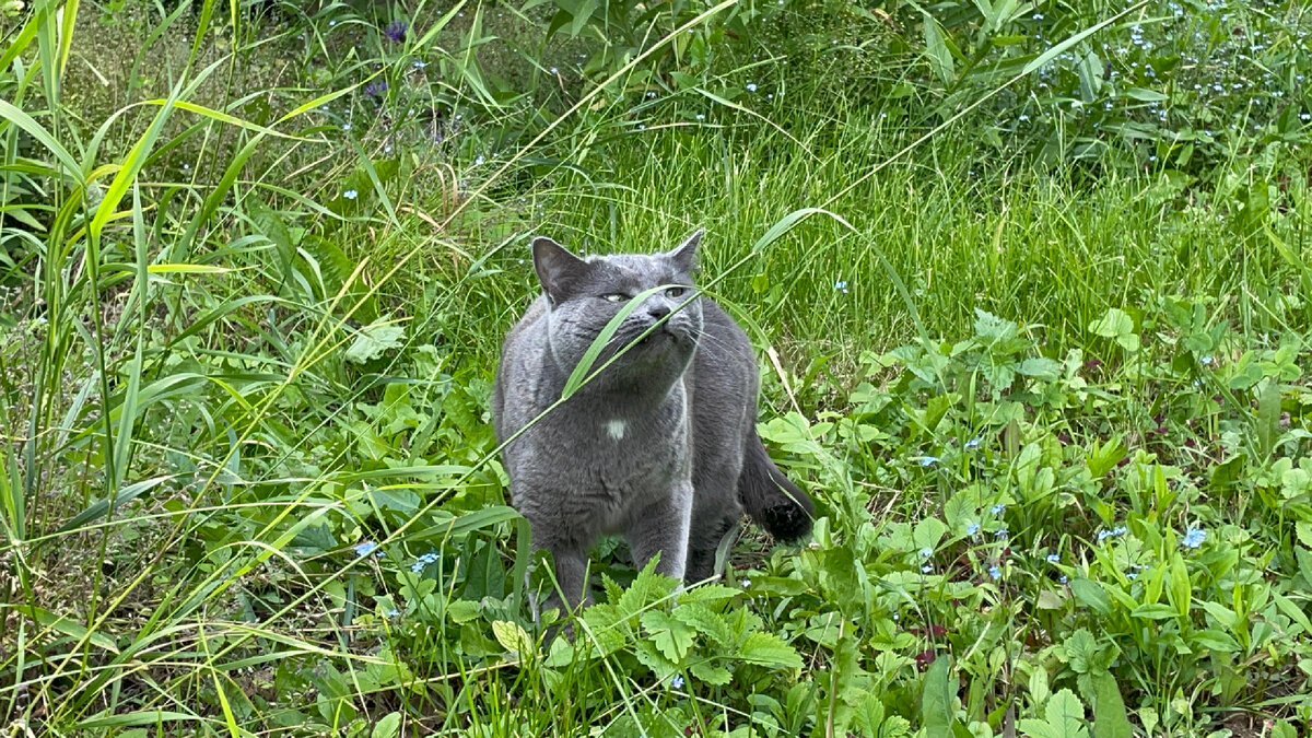 Действительно, где это Няшенька?)