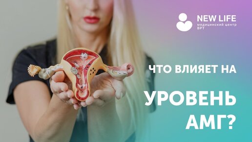 Что влияет на уровень АМГ