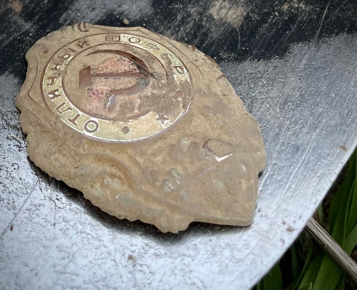 Только из земли 🥰